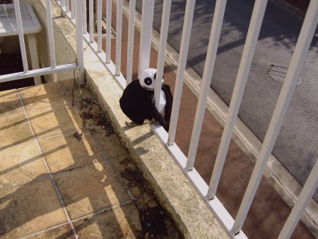 6 Villageois et un Médiateur !